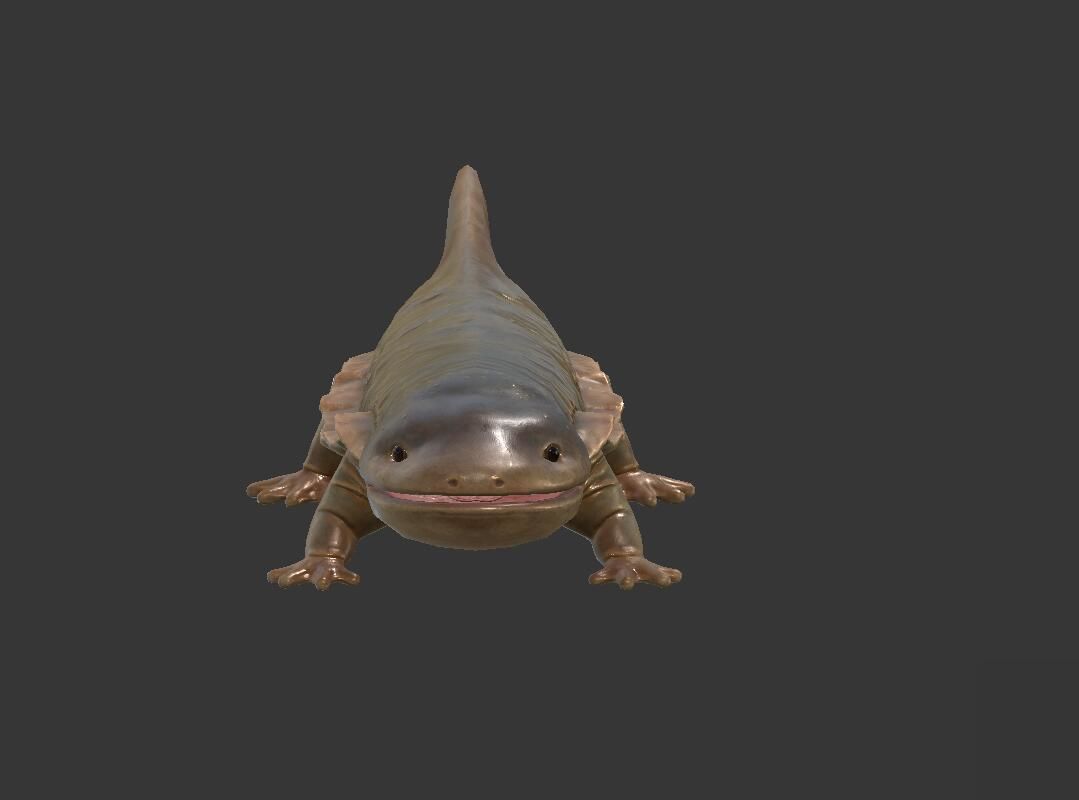 Giant salamander Low-poly 3D model_3