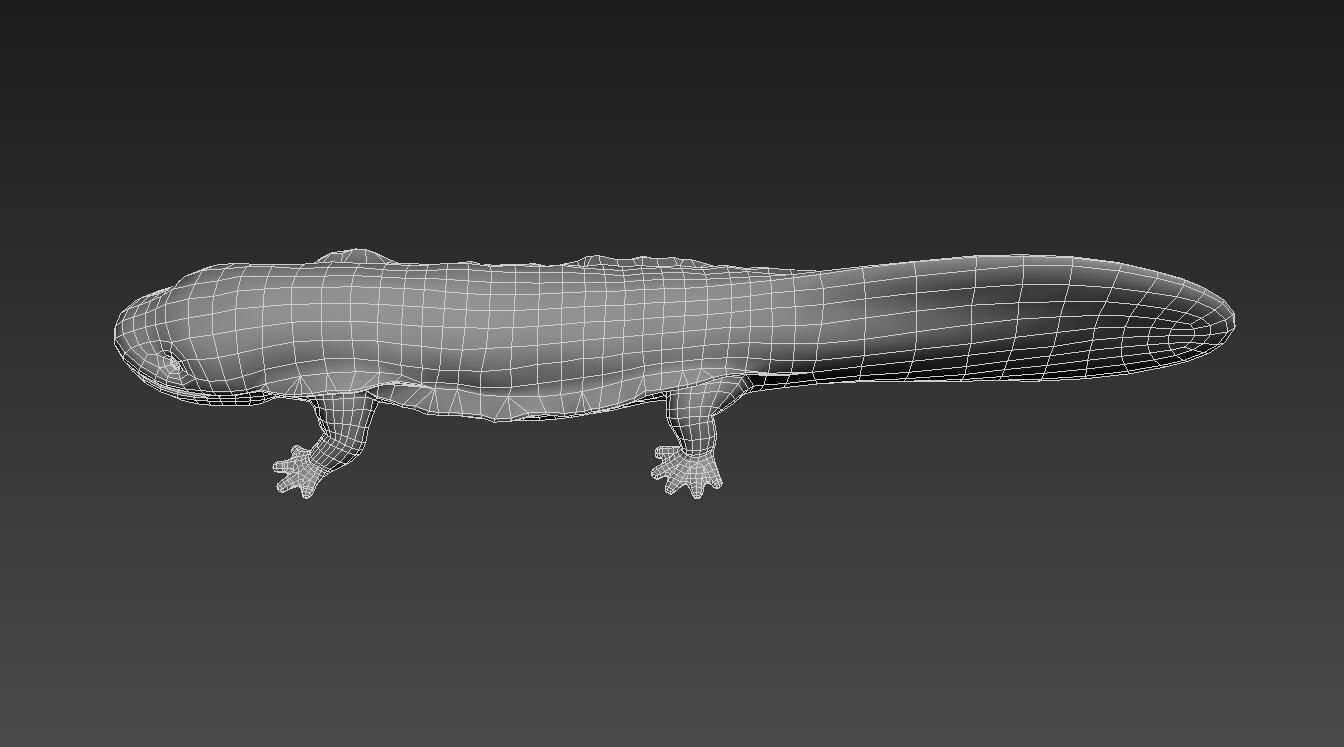Giant salamander Low-poly 3D model_4