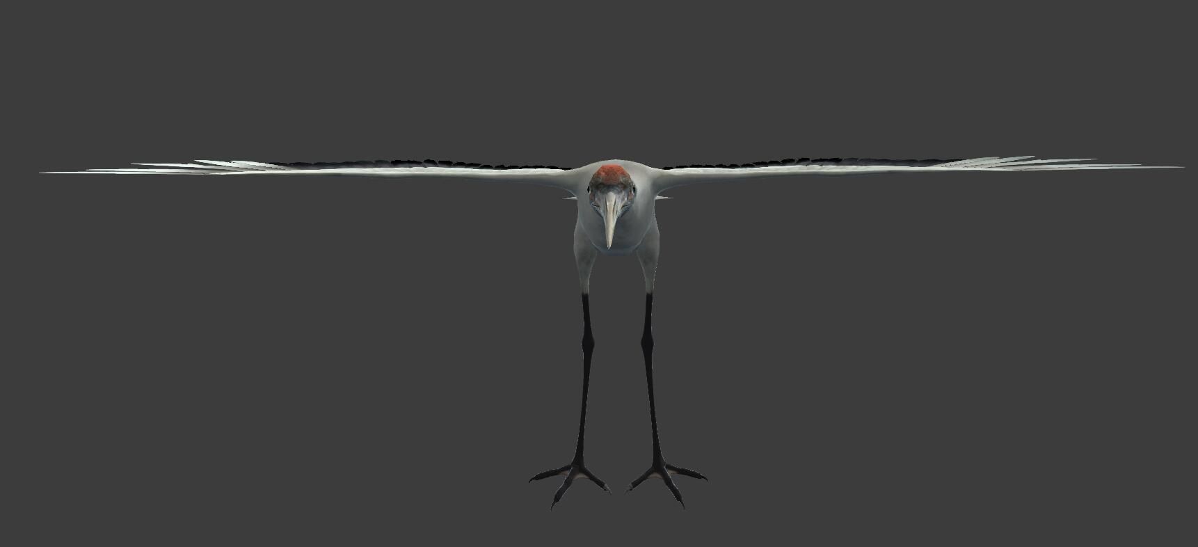 Red-crowned crane Low-poly 3D model_3