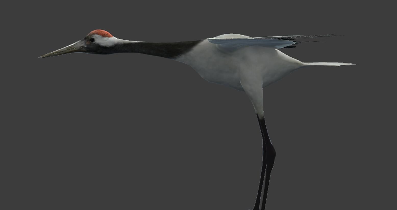 Red-crowned crane Low-poly 3D model_2