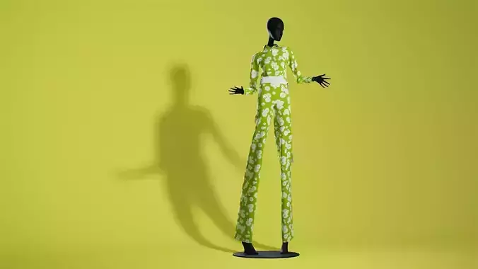 Colleen Corby 1960 Combinaison Pose 11