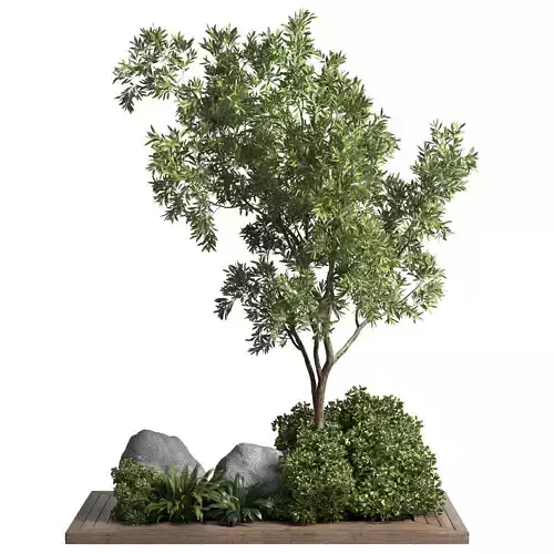 Outdoor plant garden wood vase bax pot tree and grass bush fern