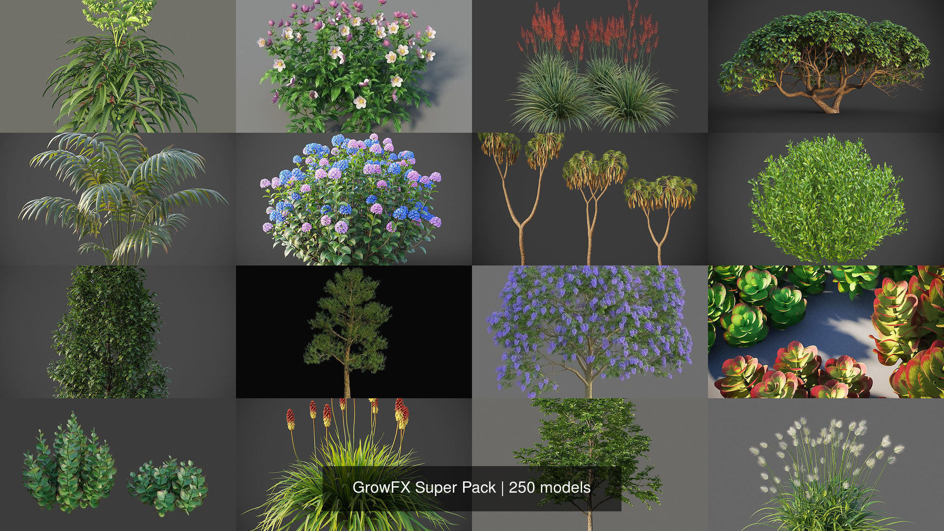 GrowFX Super Pack  250 Species 3D Model Collection_8