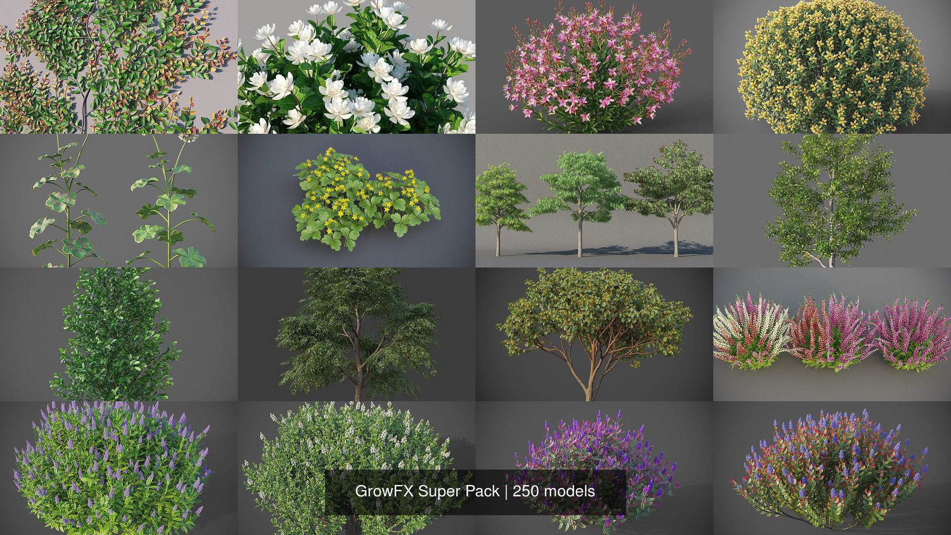 GrowFX Super Pack  250 Species 3D Model Collection_7