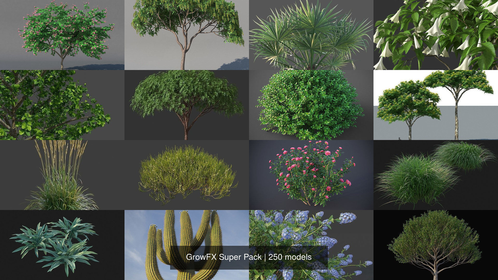 GrowFX Super Pack  250 Species 3D Model Collection_2