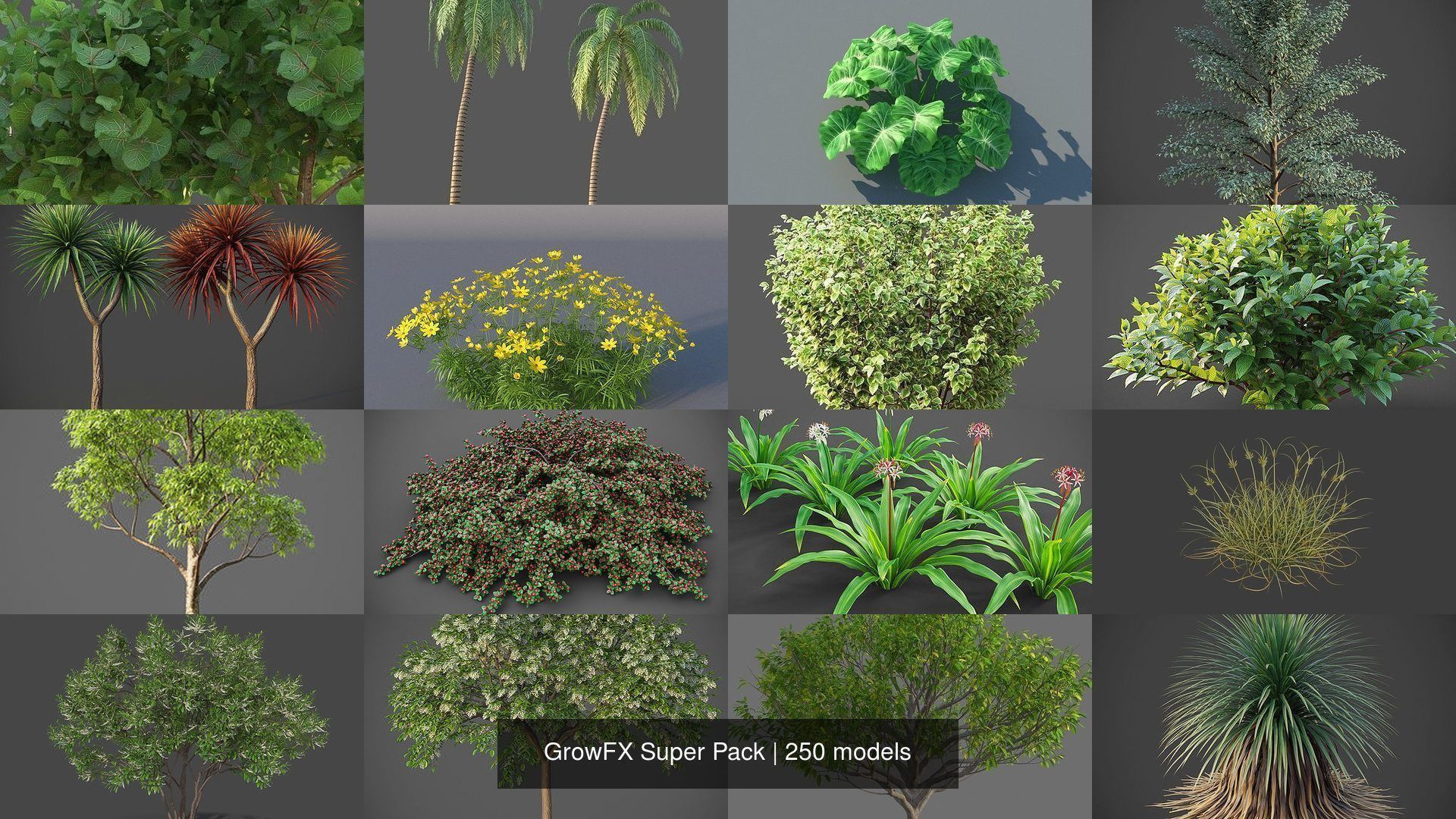 GrowFX Super Pack  250 Species 3D Model Collection_4