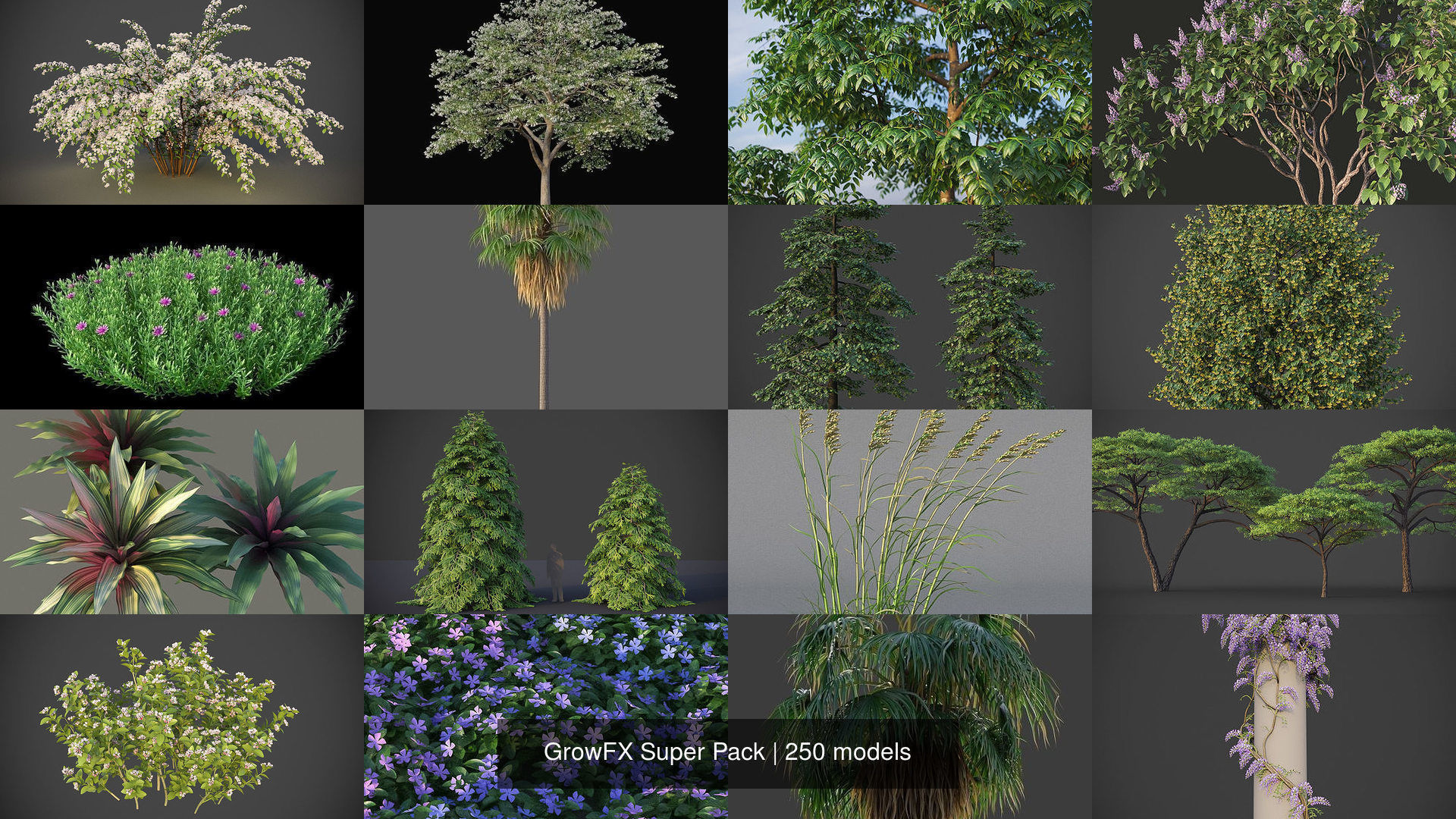 GrowFX Super Pack  250 Species 3D Model Collection_12