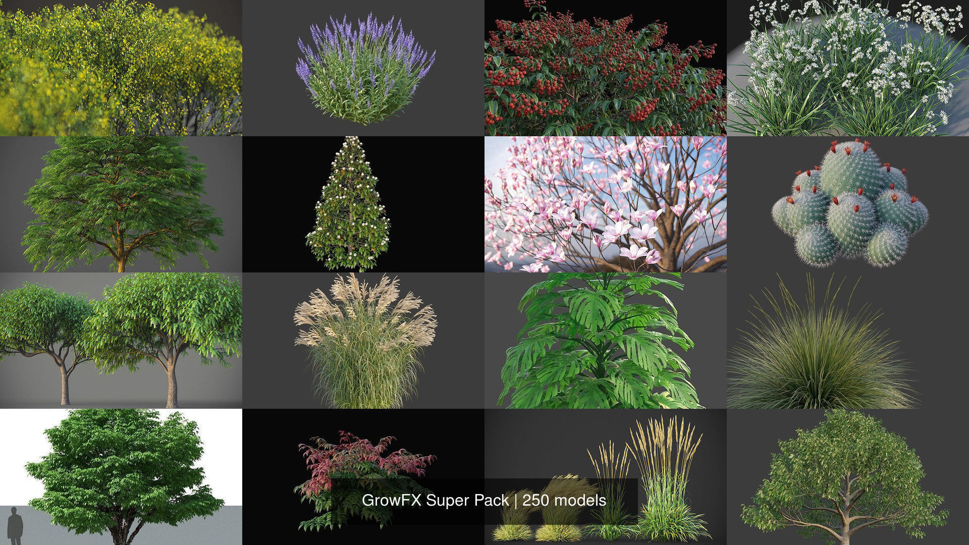 GrowFX Super Pack  250 Species 3D Model Collection_9