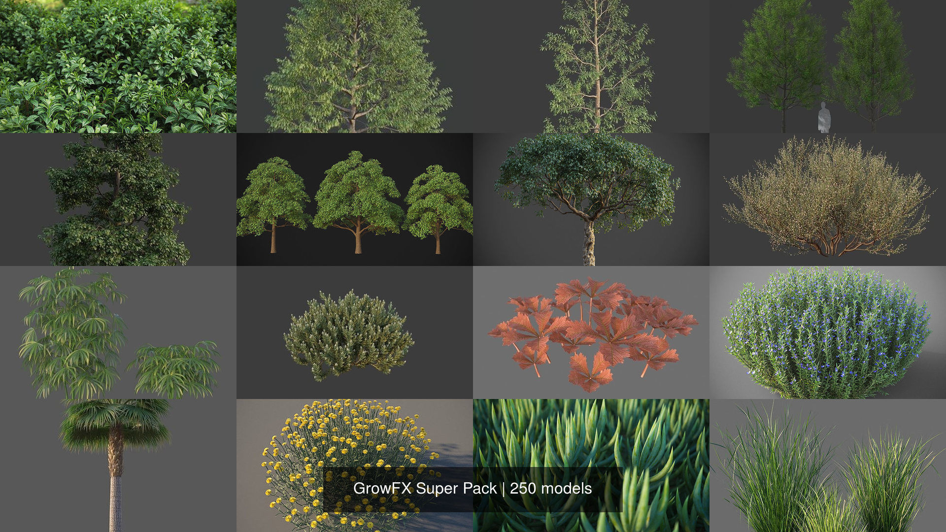 GrowFX Super Pack  250 Species 3D Model Collection_11