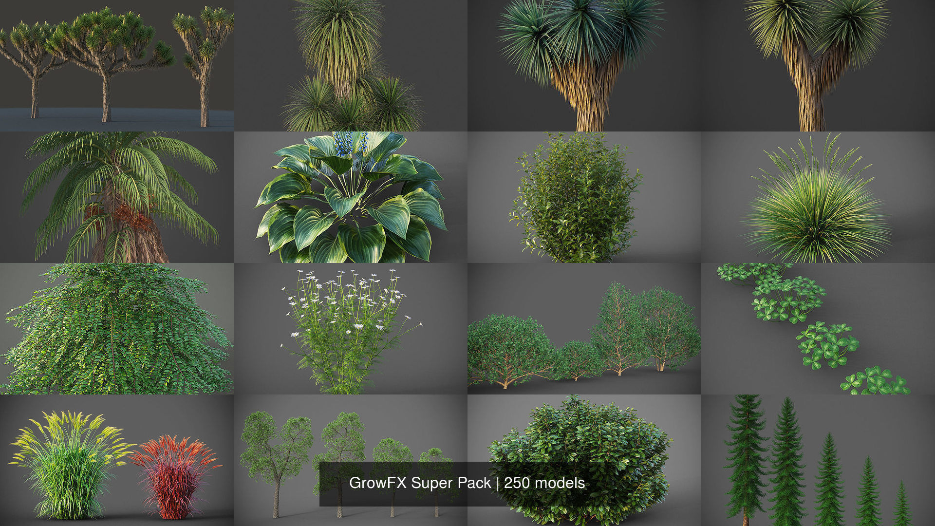 GrowFX Super Pack  250 Species 3D Model Collection_13