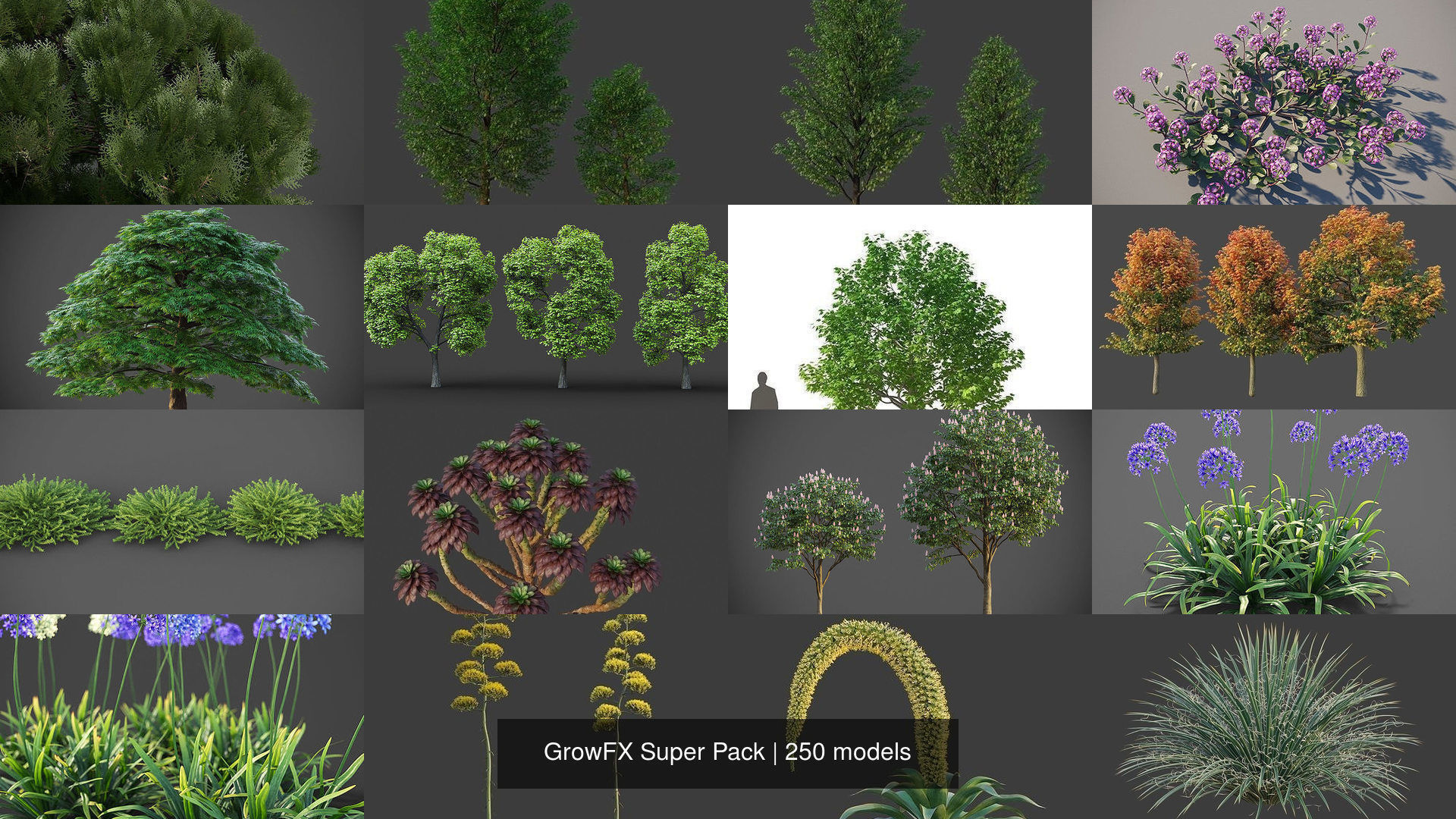GrowFX Super Pack  250 Species 3D Model Collection_0