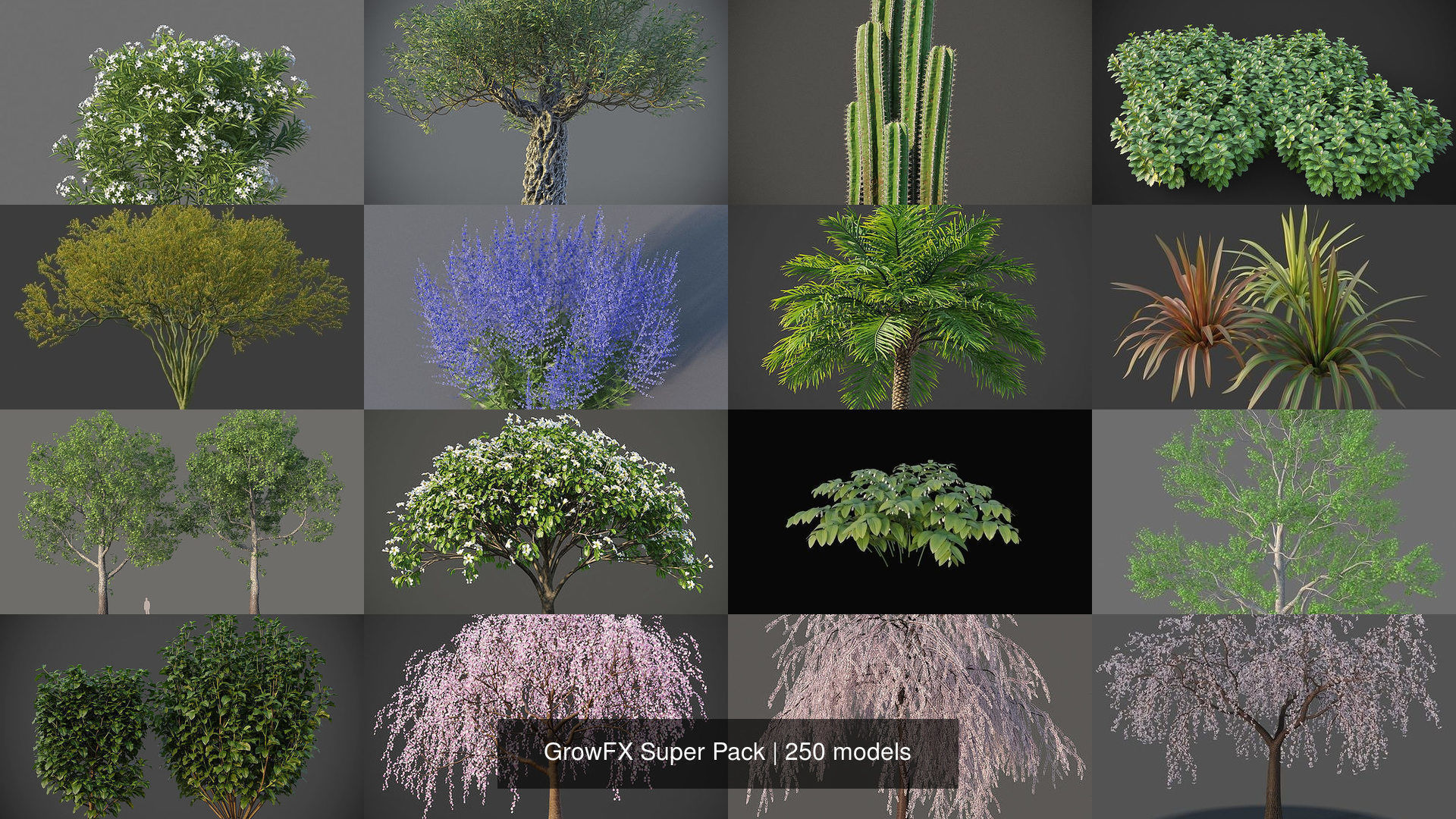 GrowFX Super Pack  250 Species 3D Model Collection_10