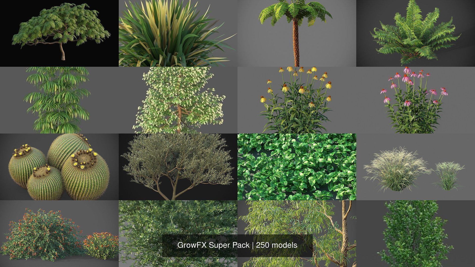 GrowFX Super Pack  250 Species 3D Model Collection_5