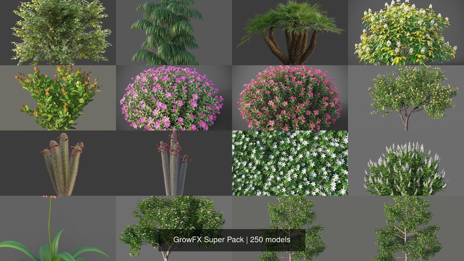 GrowFX Super Pack  250 Species 3D Model Collection_3
