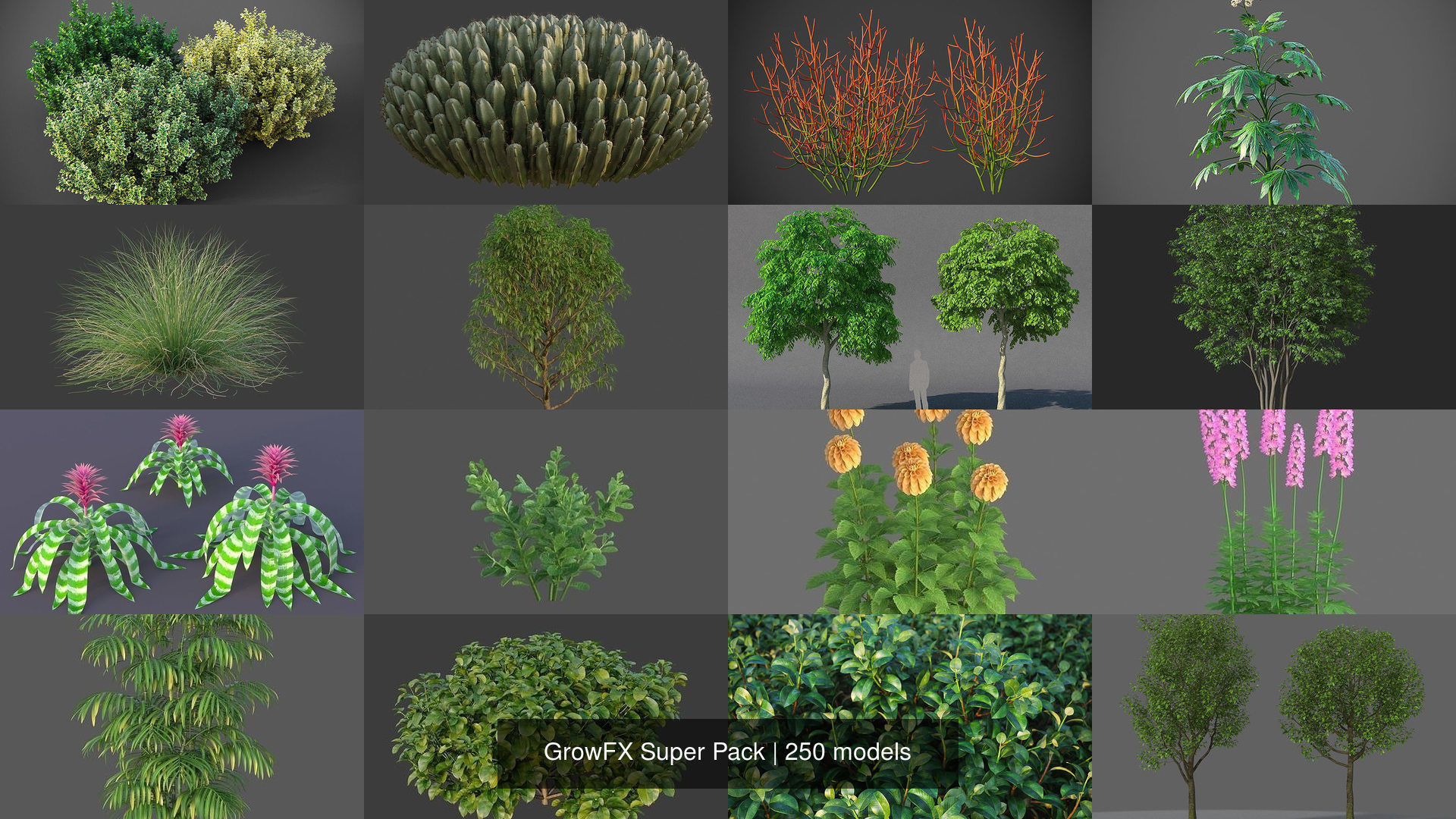GrowFX Super Pack  250 Species 3D Model Collection_6