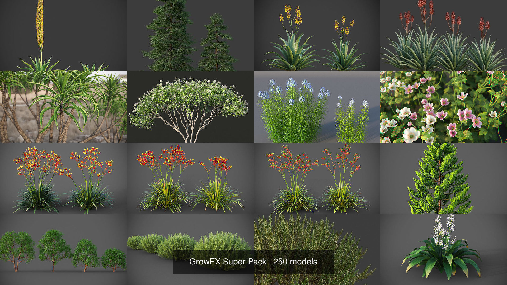 GrowFX Super Pack  250 Species 3D Model Collection_1