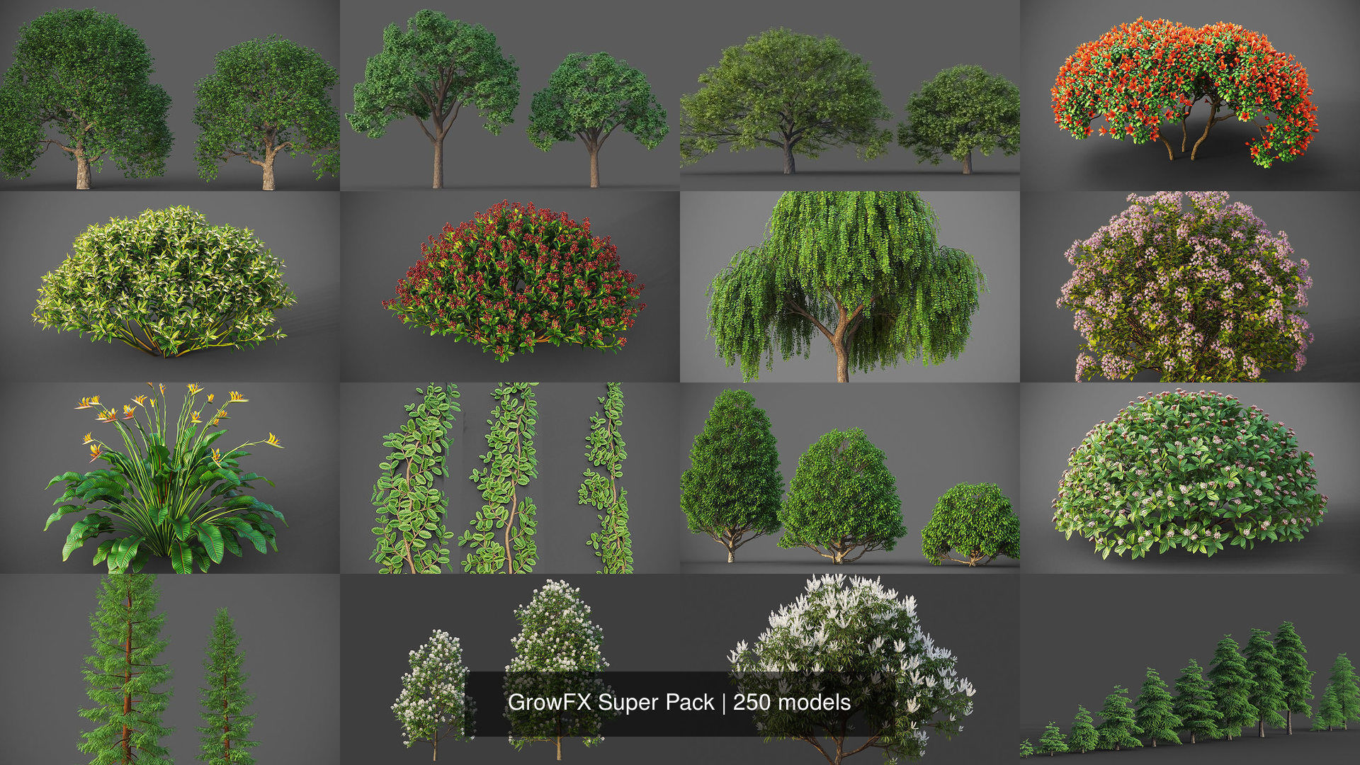 GrowFX Super Pack  250 Species 3D Model Collection_14