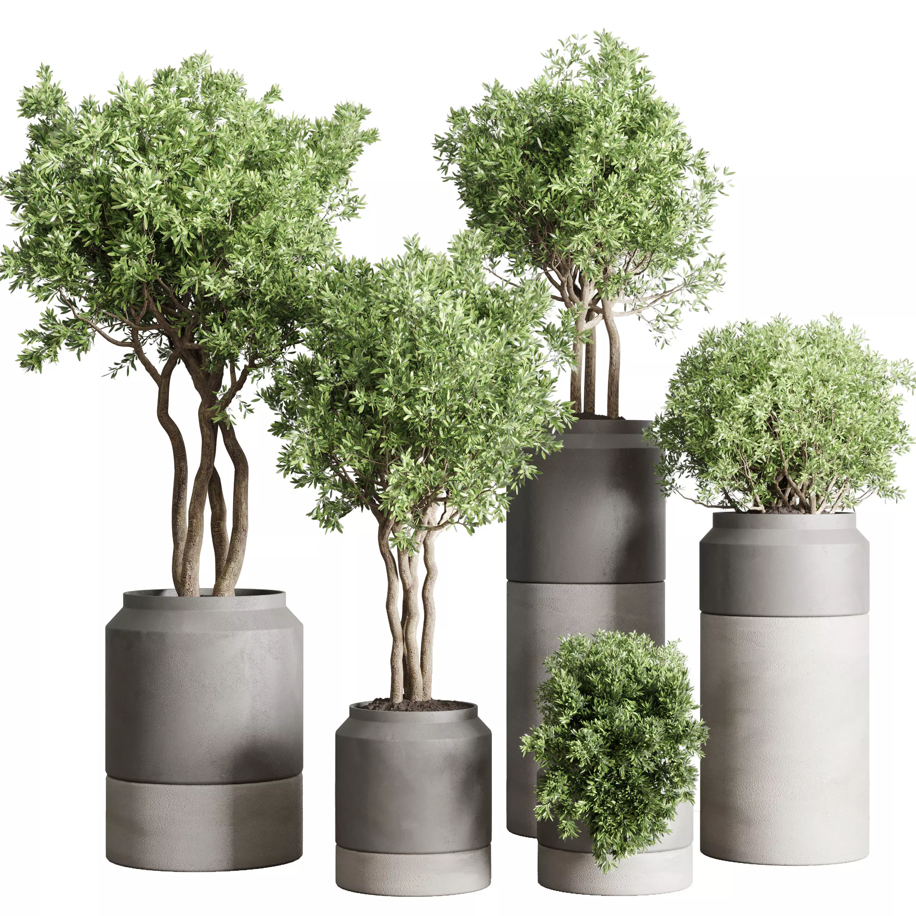 Collection Outdoor Indoor plant 61 concrete vase pot tree bush 3D model