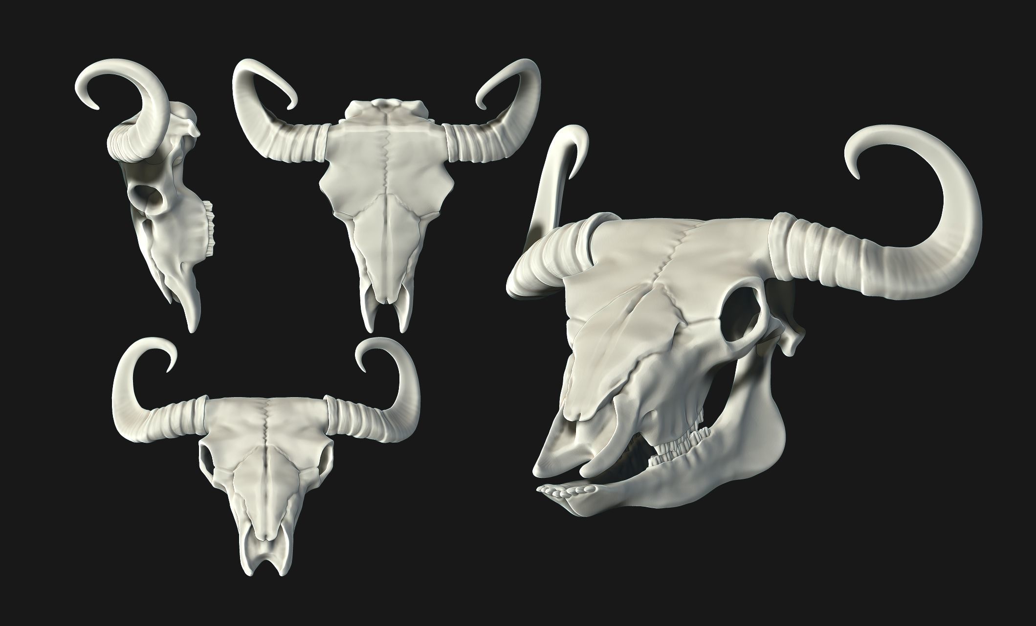 Bison Skull - CNC and 3D print model_16