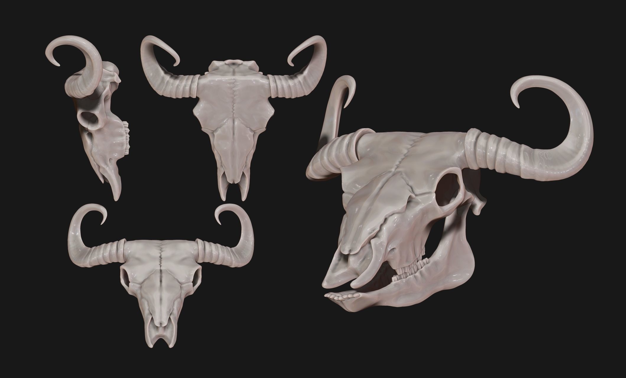 Bison Skull - CNC and 3D print model_3