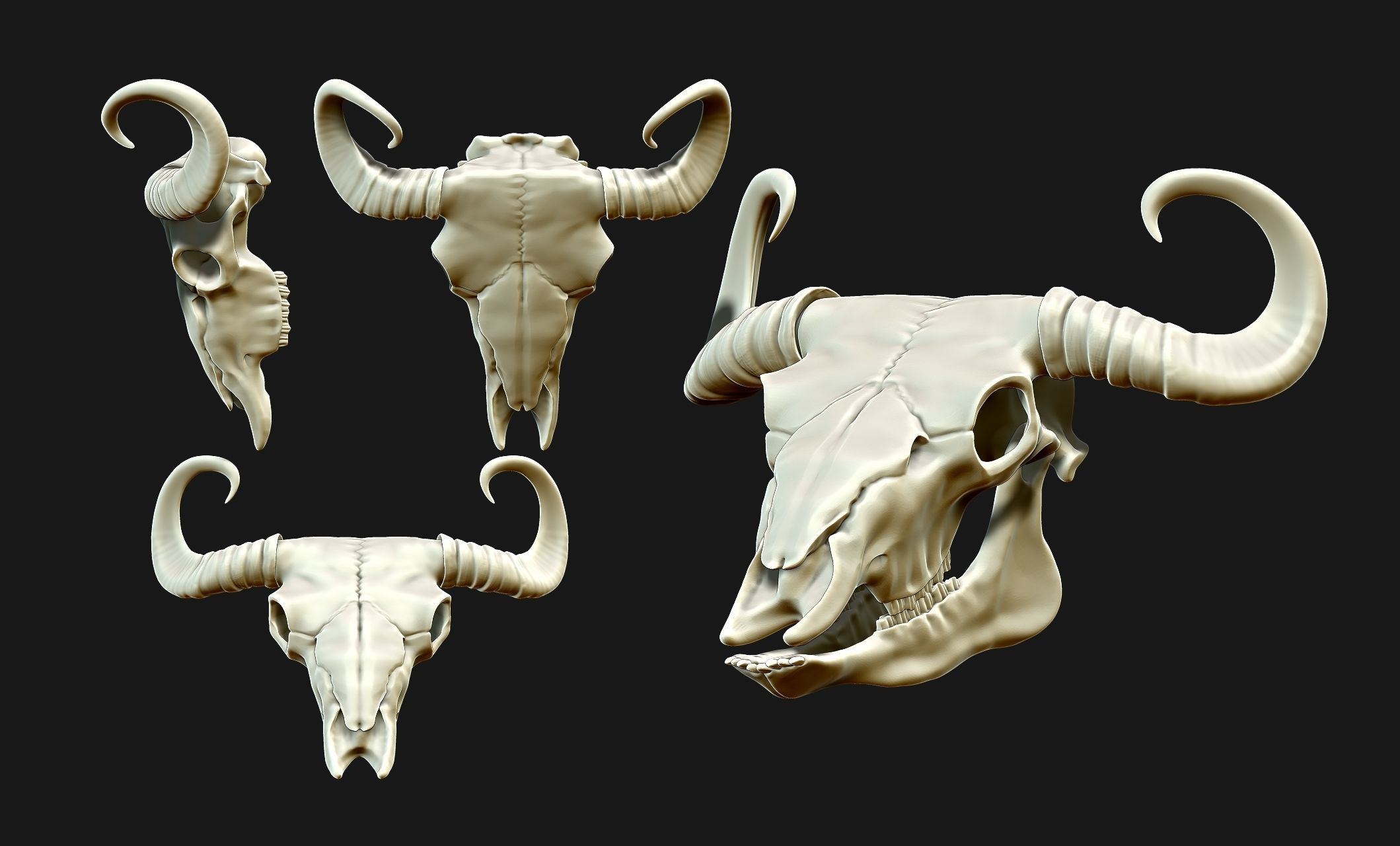 Bison Skull - CNC and 3D print model_5