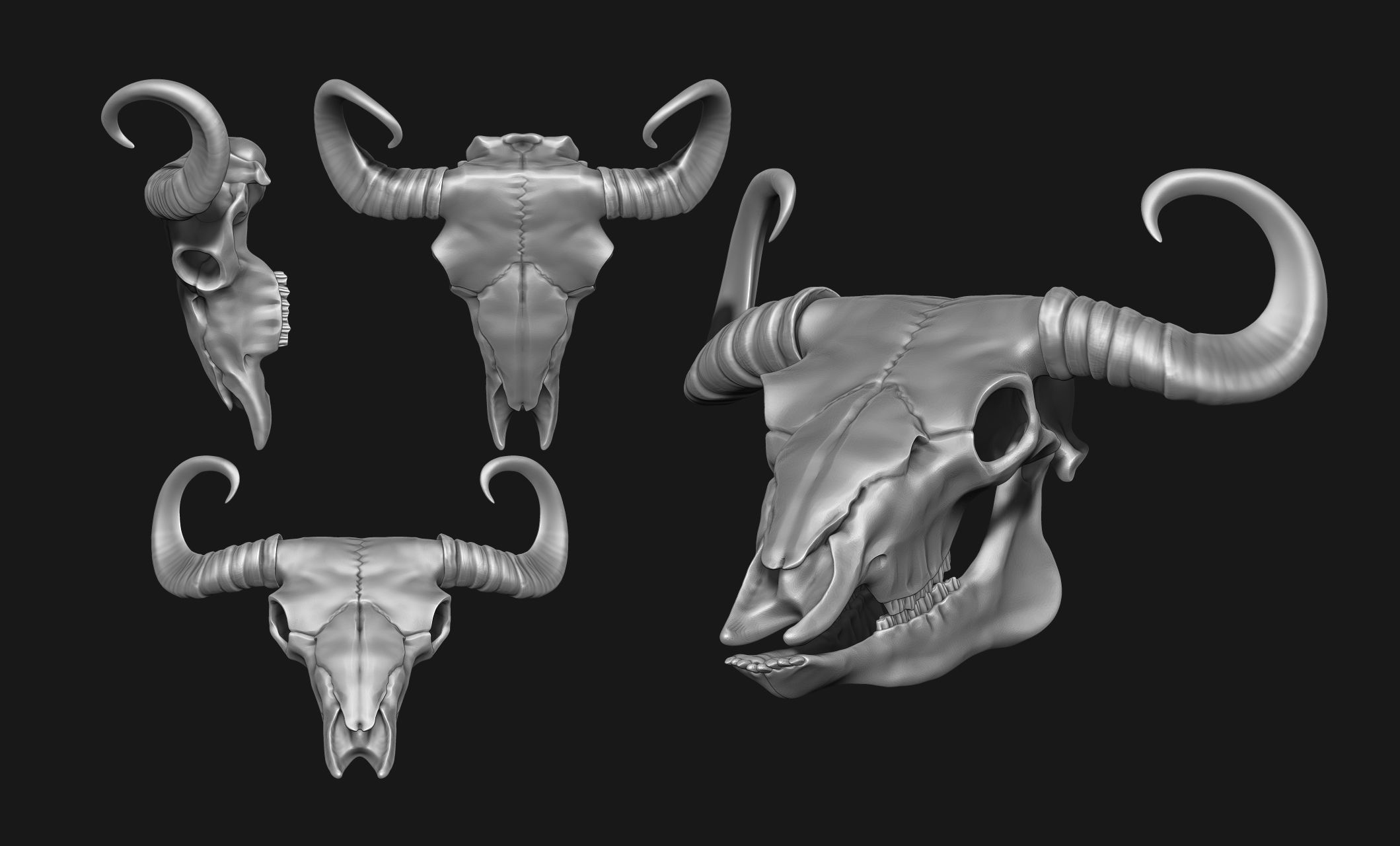 Bison Skull - CNC and 3D print model_2