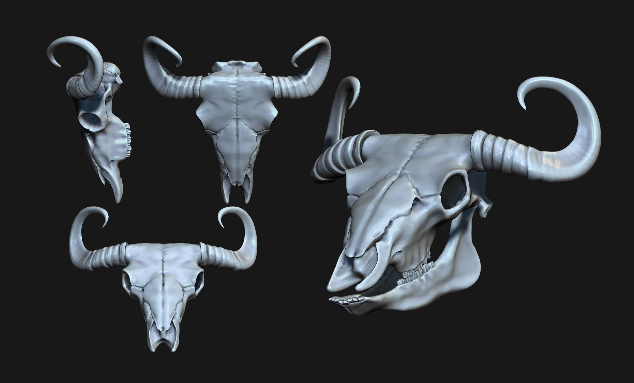 Bison Skull - CNC and 3D print model_9
