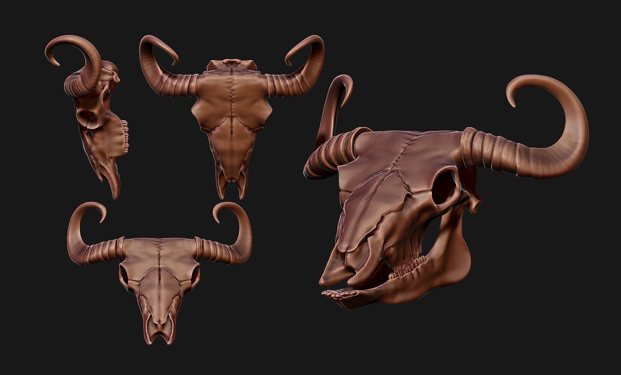 Bison Skull - CNC and 3D print model_18