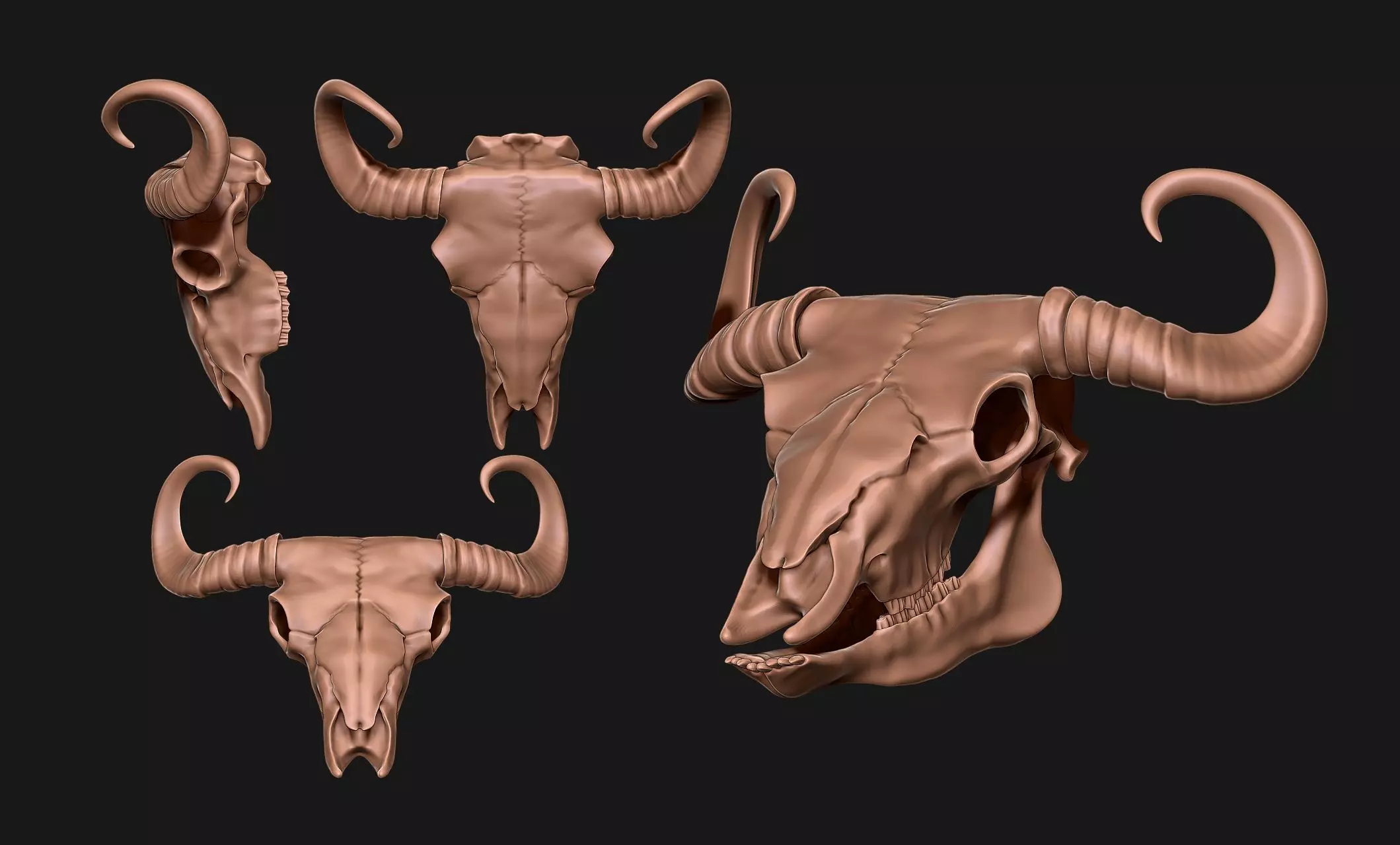 Bison Skull - CNC and 3D print model_0