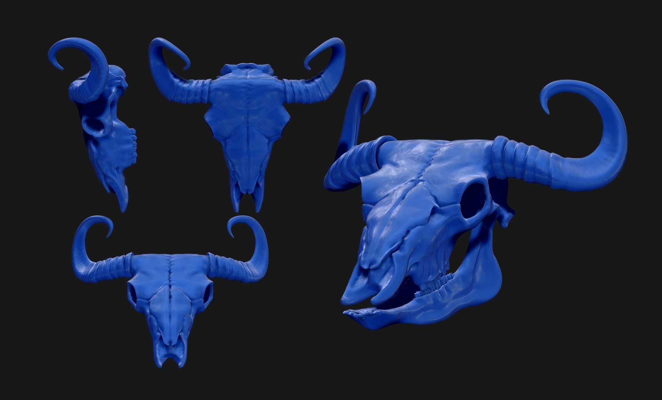 Bison Skull - CNC and 3D print model_12