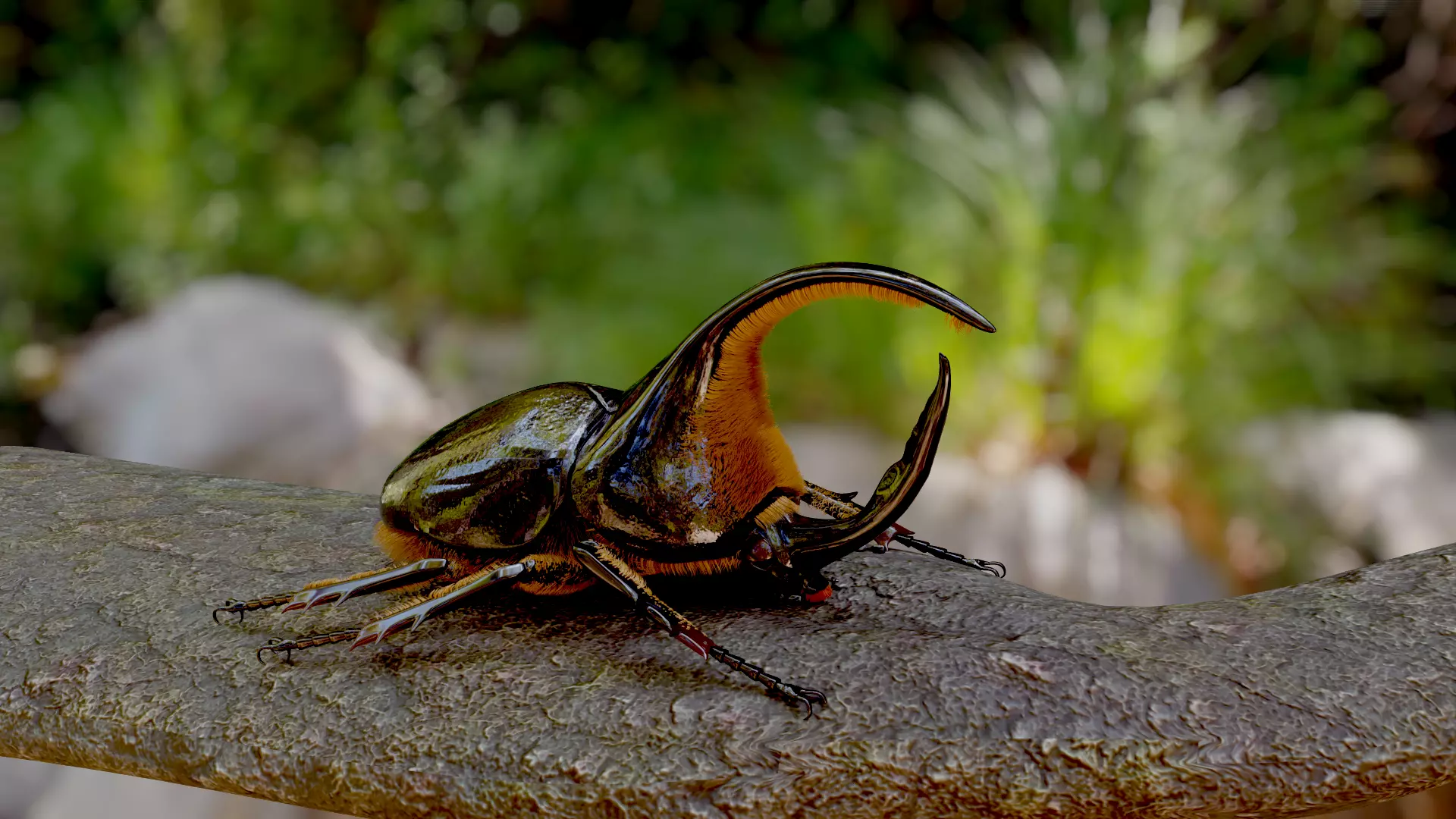 Dynastes satanus 3D model_0