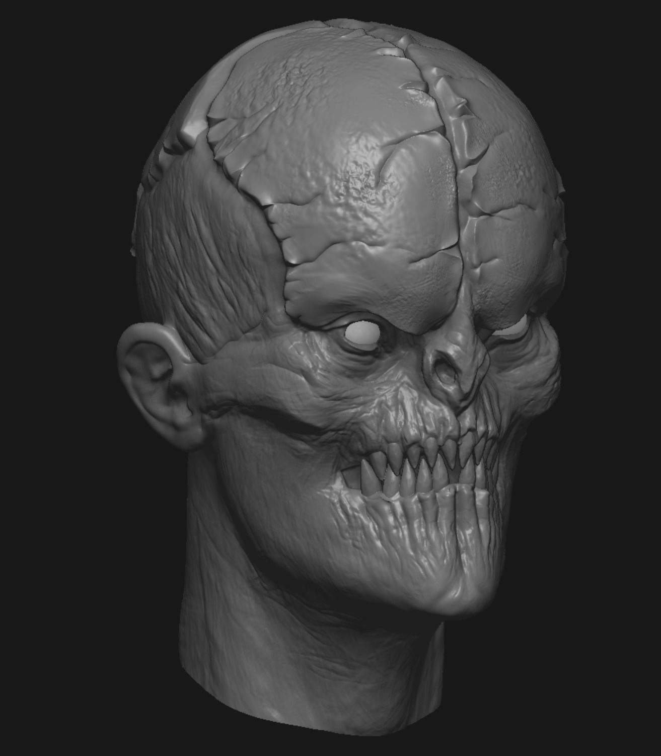 Creature heads  3D model_20