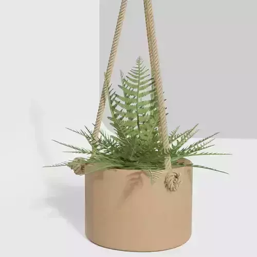 Fern Vase