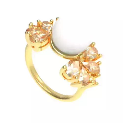 Ring 3D Model Ready to 3DPrint