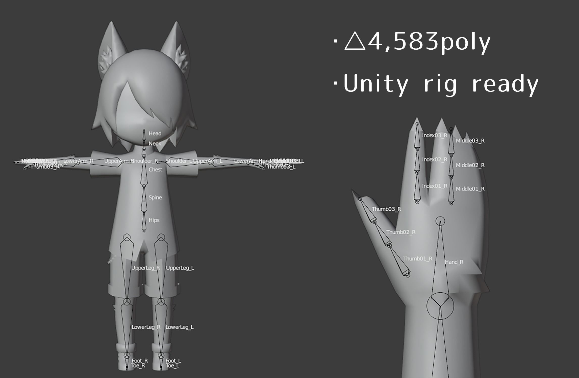Poly 2d Furry Model 3D model lopo-san Furry-A VR / AR / low-poly rigged | CGTrader