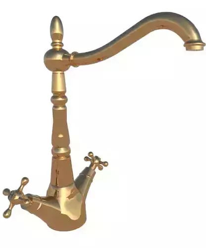 Gold and silver faucet