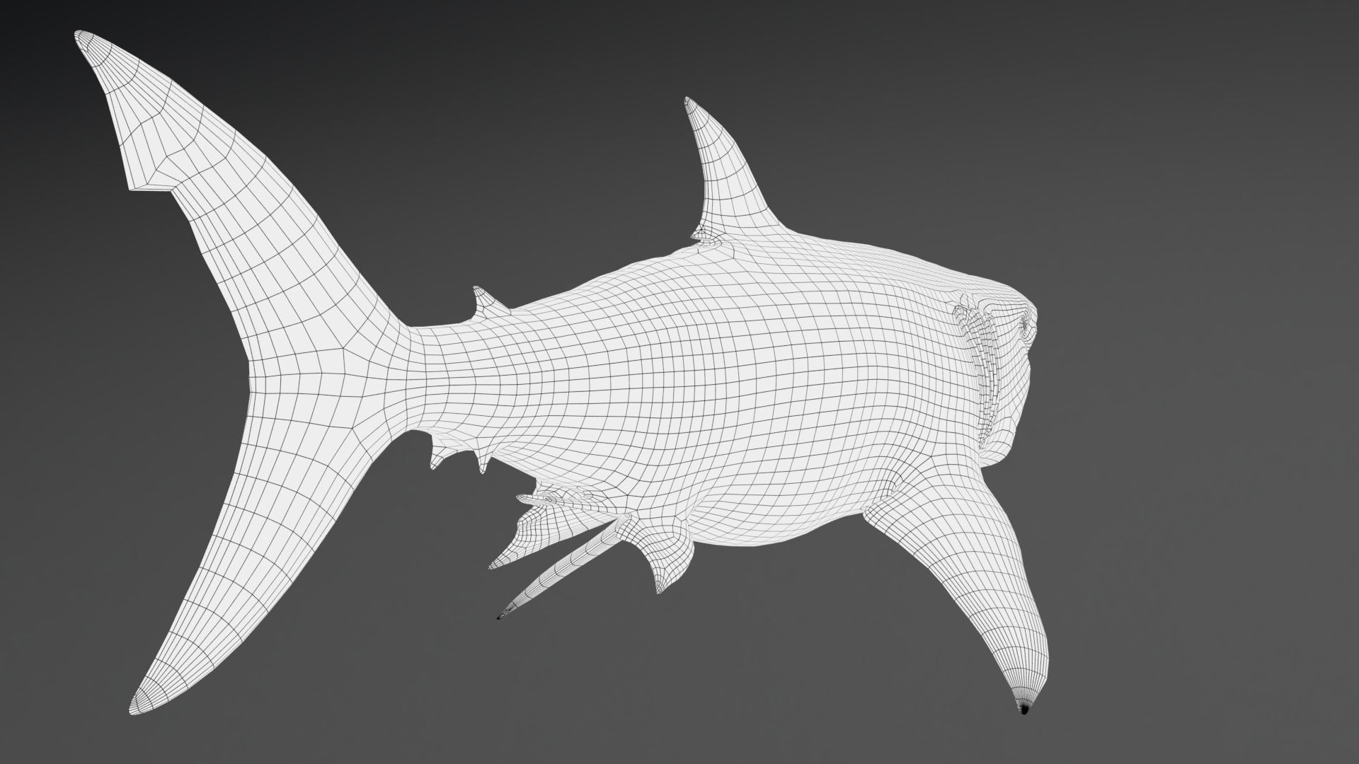 Dinosaur MEGALODON - Sea Monster Series 5 Low-poly 3D model_22