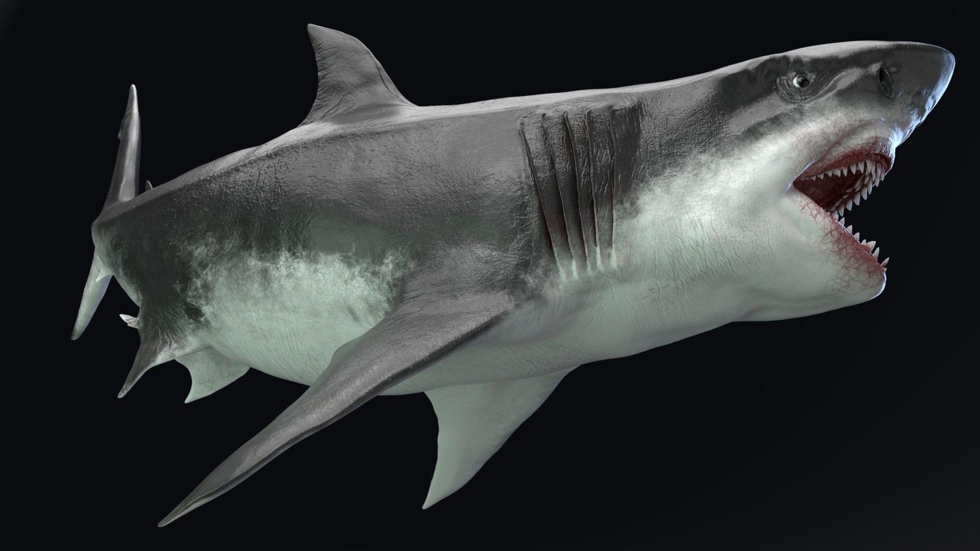 Dinosaur MEGALODON - Sea Monster Series 5 Low-poly 3D model_12