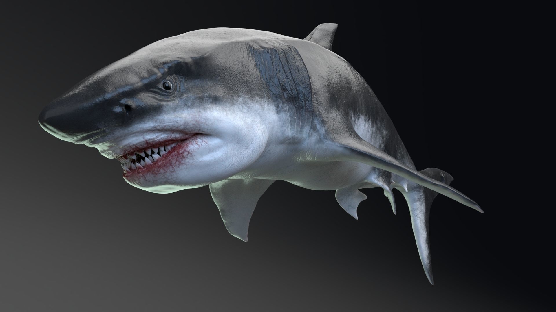 Dinosaur MEGALODON - Sea Monster Series 5 Low-poly 3D model_16