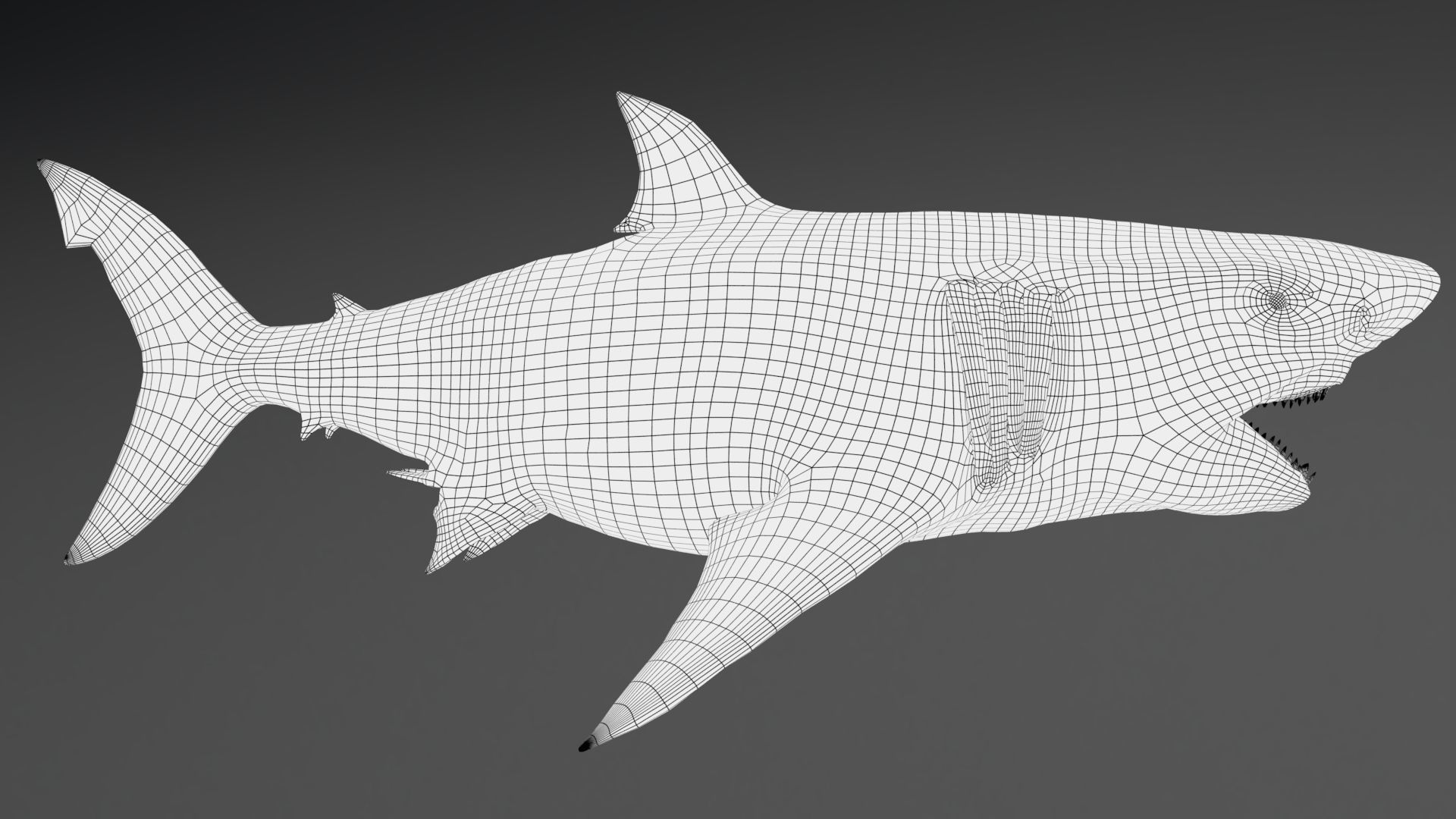 Dinosaur MEGALODON - Sea Monster Series 5 Low-poly 3D model_18