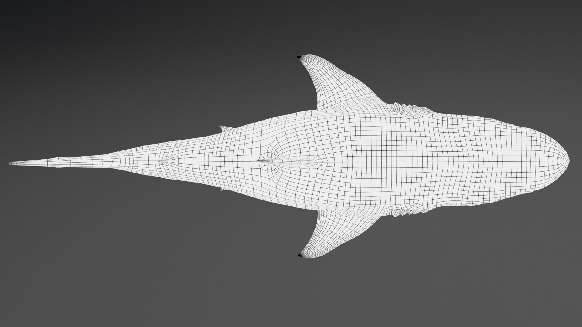 Dinosaur MEGALODON - Sea Monster Series 5 Low-poly 3D model_21