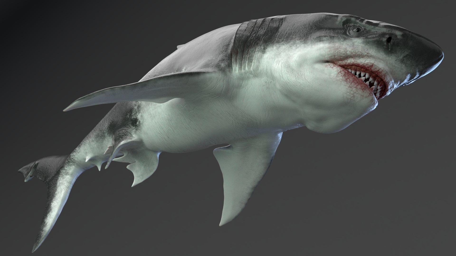 Dinosaur MEGALODON - Sea Monster Series 5 Low-poly 3D model_17