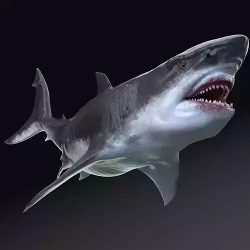 Dinosaur MEGALODON - Sea Monster Series 5