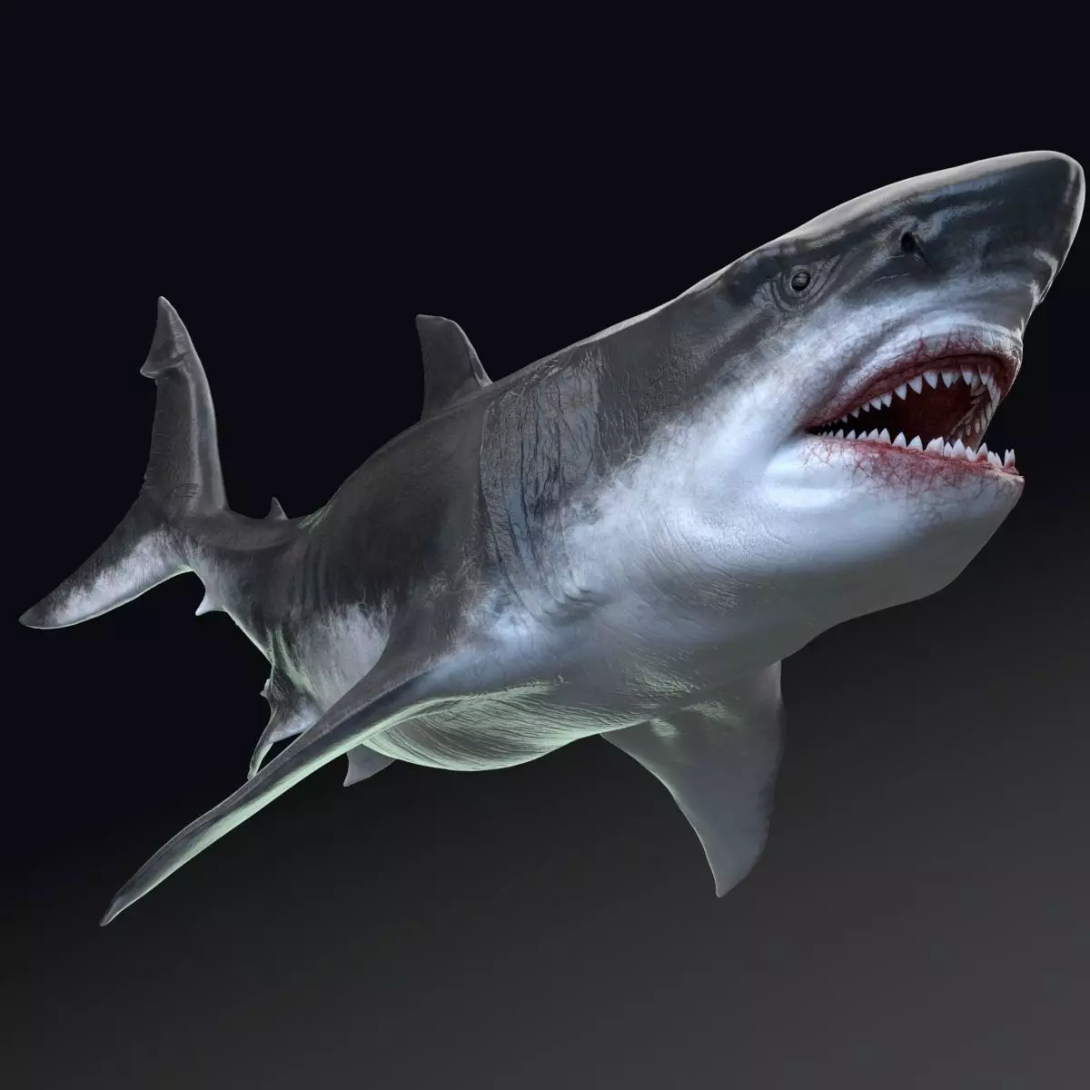 Dinosaur MEGALODON - Sea Monster Series 5 Low-poly 3D model_0