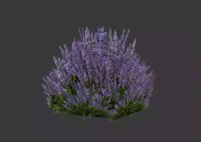 Low poly lavender 3D model plant