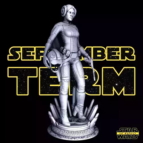 Leia Sculpture  - Tested and Ready for 3D printing 3D print model