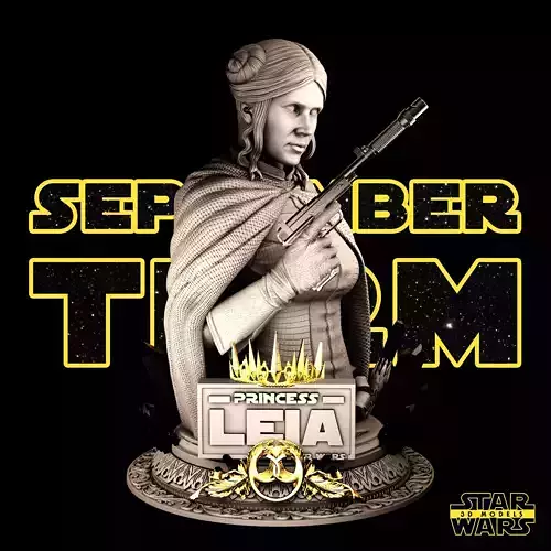 Leia Bust - Tested and Ready for 3D printing Free 3D print model