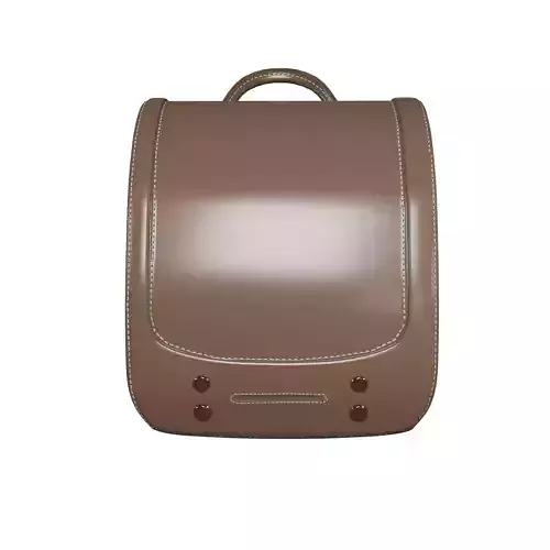 student brown bag v8