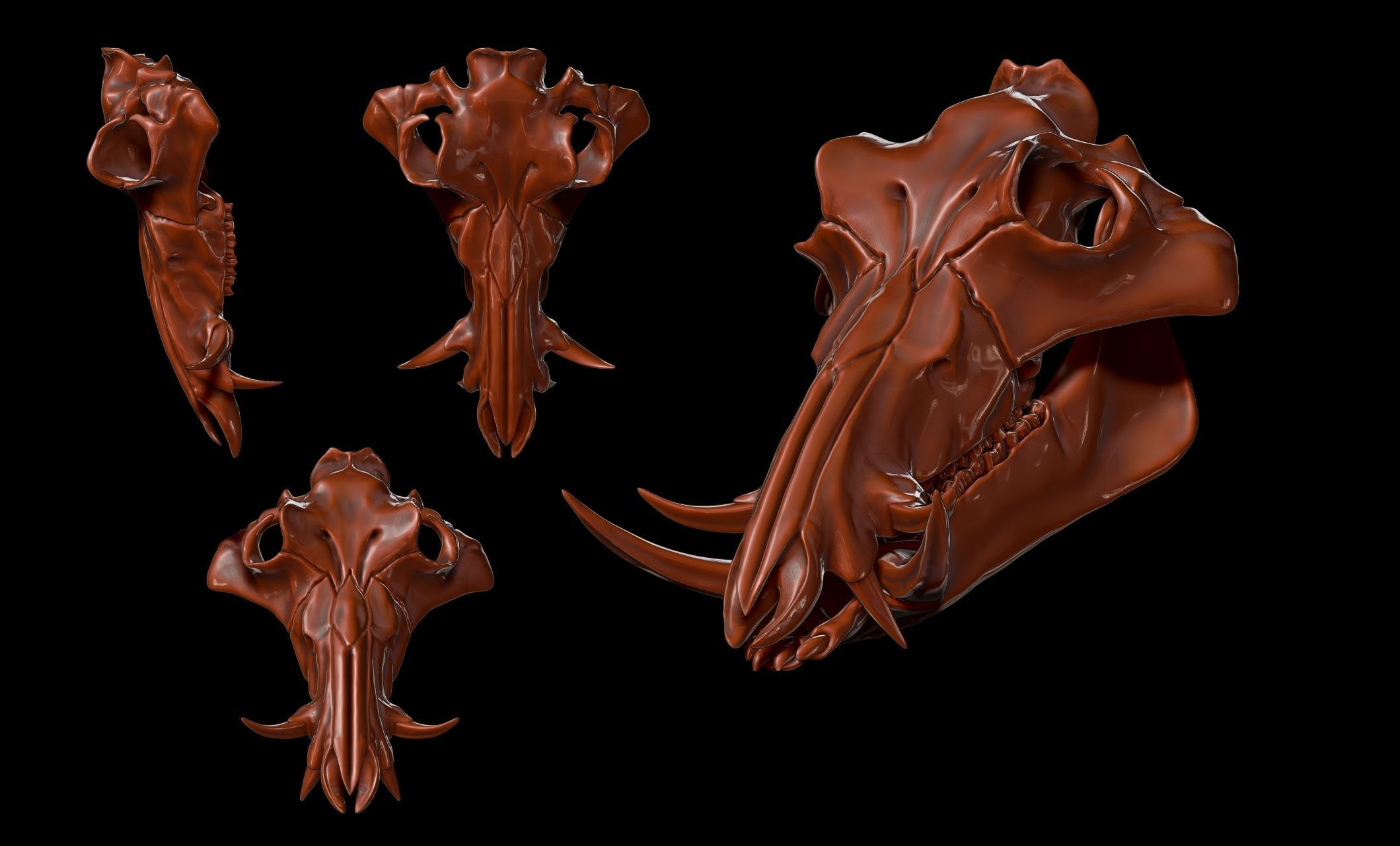 Boar Skull - CNC and 3D print model_9