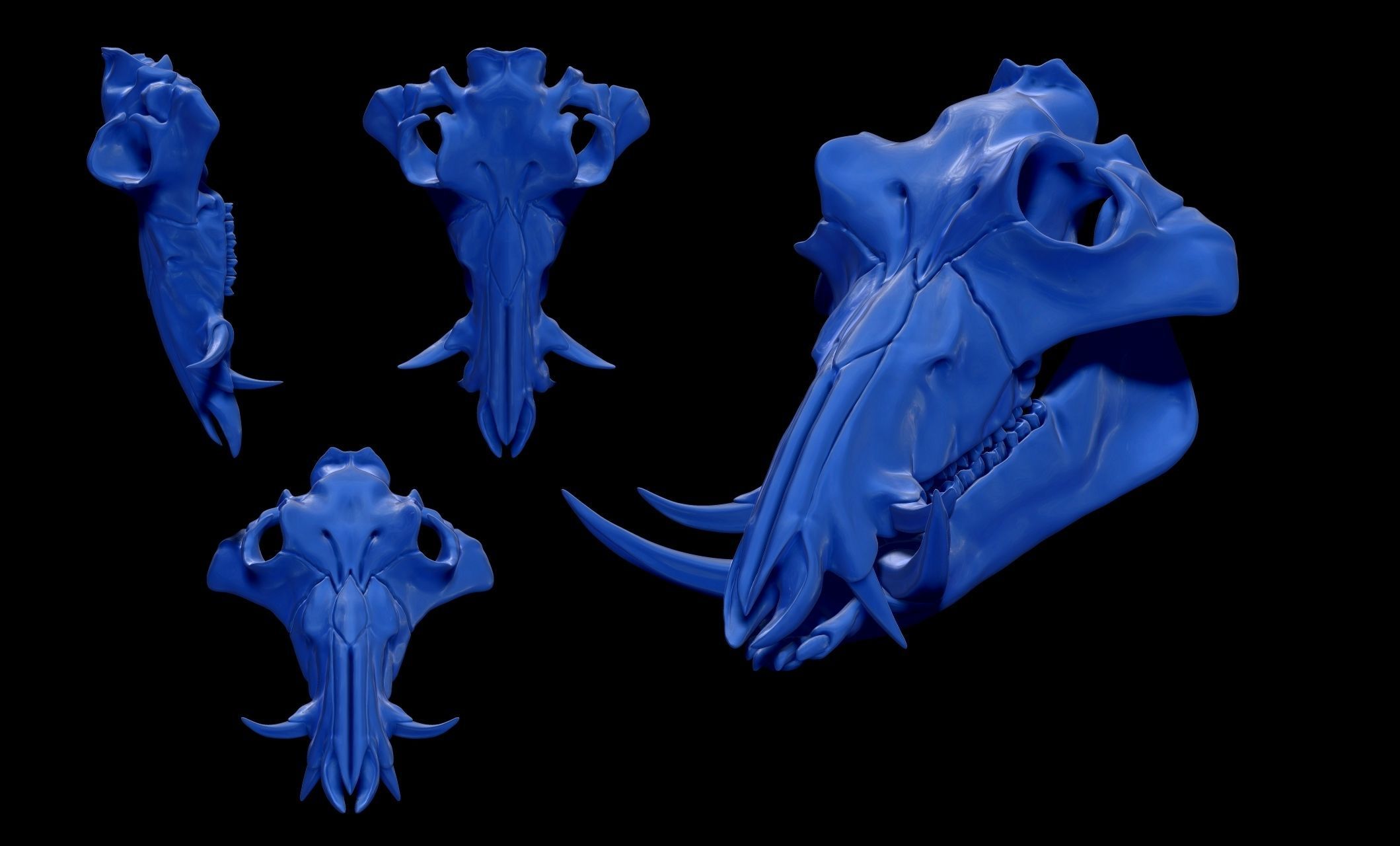 Boar Skull - CNC and 3D print model_8